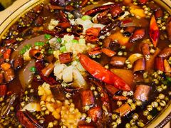 磁器口毛血旺-川天喉重庆江湖菜