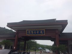 -龙寺生态园