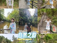 -茅兰沟国家森林公园