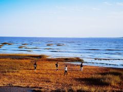 -南汇嘴观海公园