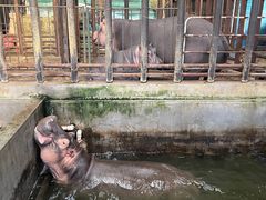 -沈阳森林动物园