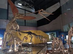 -湖南省地质博物馆