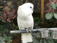 -南宫五洲植物乐园