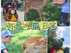 -北京鹿世界主题园