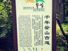 -北京鹫峰国家森林公园