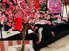 -天虹购物中心(石路店)