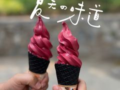 -颐和园