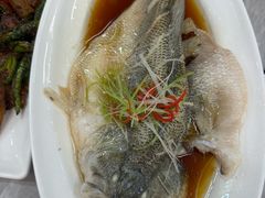 -台北楚楚园馅饼粥(虹桥南丰城店)
