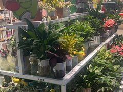 -大润发(姑嫂树店)