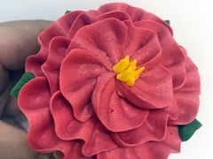 -BONCAKE裱花蛋糕(万象汇店)