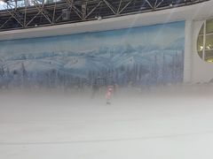 -世界之窗阿尔卑斯冰雪世界