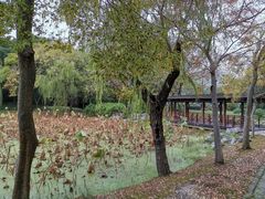 -高子水居