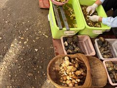 -南坛综合农贸市场