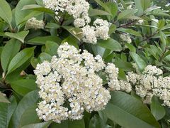 -玄武湖景区-情侣园游乐场