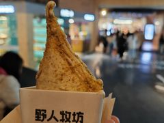 -野人牧坊Gelato(天津南开大悦城店)