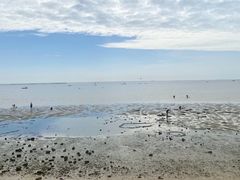 -北海金海湾红树林生态旅游区