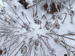 -崂山巨峰游览区