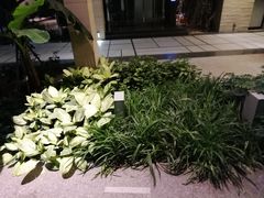 -仁恒美食庭苑(仁恒海河广场店)