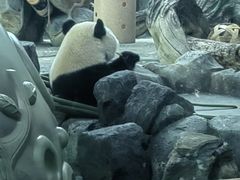 -武汉动物园