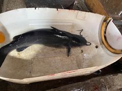 -姚记抚仙湖石锅鱼庄