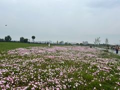 -汉长安城未央宫国家考古遗址公园