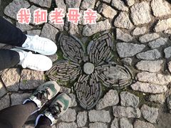 -秋霞圃