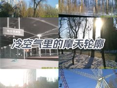 -哈尔滨文化公园