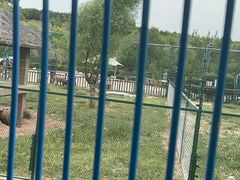 -鄂尔多斯野生动物园