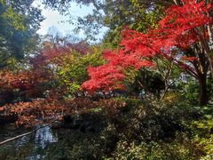 -中国茶叶博物馆(双峰馆区)