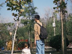 -合肥滨湖国家森林公园