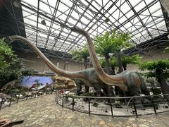 -国家自然博物馆