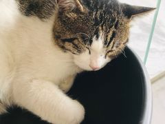 -UNI UNI(环亚凯瑟琳店)