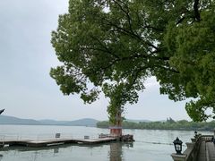 -君来湖滨饭店·玫瑰园