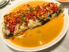 -全乐鱼馆·淳牌有机鱼直营店