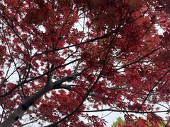 -郑和公园