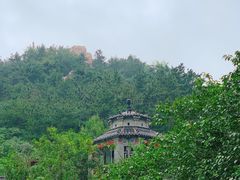 -老张烤羊(王哥庄店)