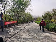 -府君山公园