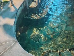 -泉城欧乐堡戏水湾艺术养生温泉