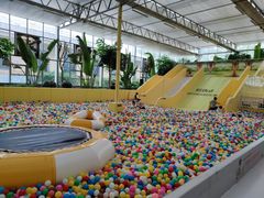 -南宫五洲植物乐园