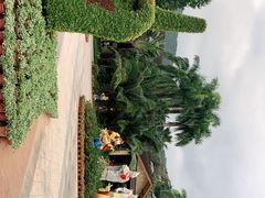 -呀诺达热带雨林