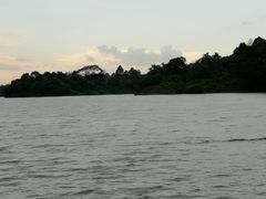 -河川生态园