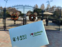 -迪士尼小镇