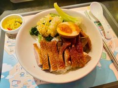 金奖卤鹅肉饭-陈鹏鹏潮汕菜(宝安机场T3航站楼店)