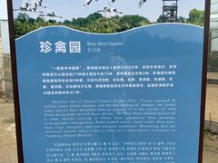 -盐城丹顶鹤湿地生态旅游区