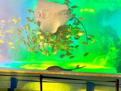 -常州海昌海洋探索馆