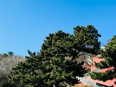 -妙峰山风景名胜区