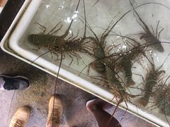 -拉威海鲜市场