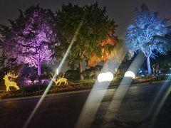 -上海宝华万豪酒店