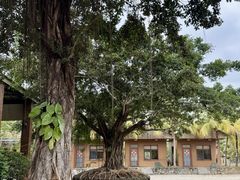 -兴隆槟榔园休闲农庄