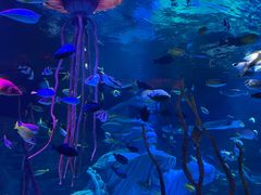 -沈阳海洋探索中心